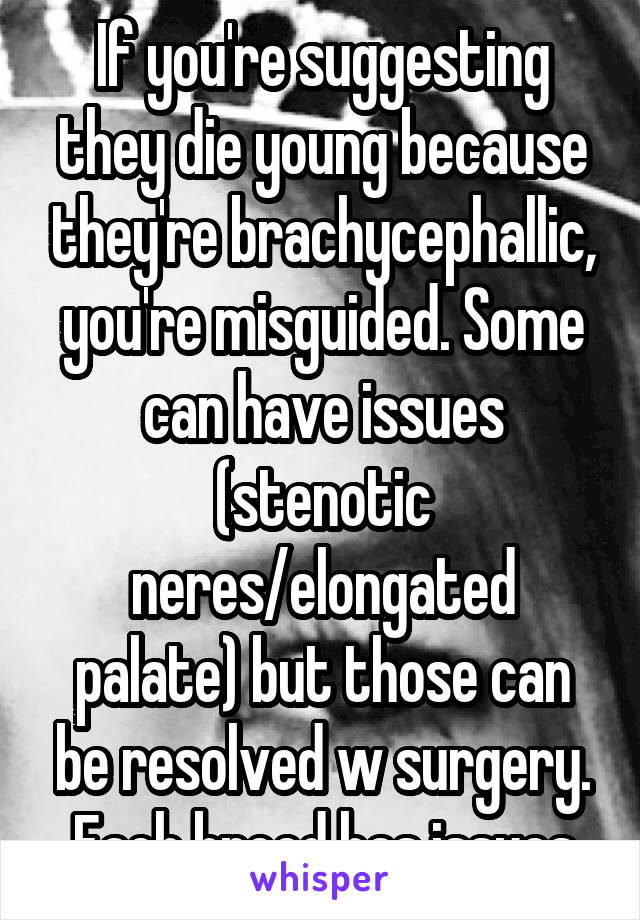 If you're suggesting they die young because they're brachycephallic, you're misguided. Some can have issues (stenotic neres/elongated palate) but those can be resolved w surgery. Each breed has issues