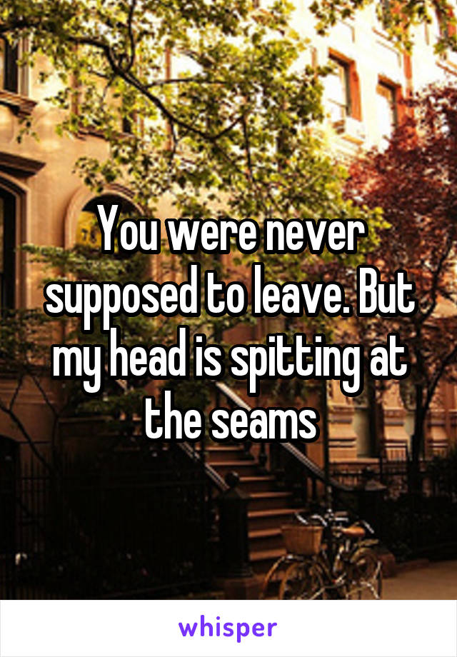 You were never supposed to leave. But my head is spitting at the seams