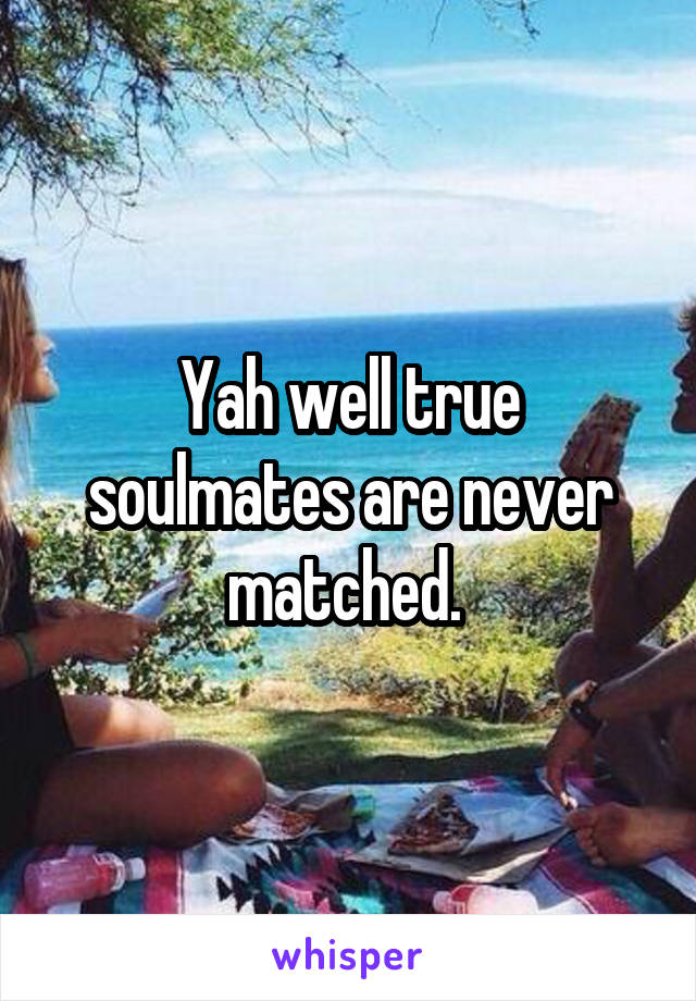 Yah well true soulmates are never matched. 
