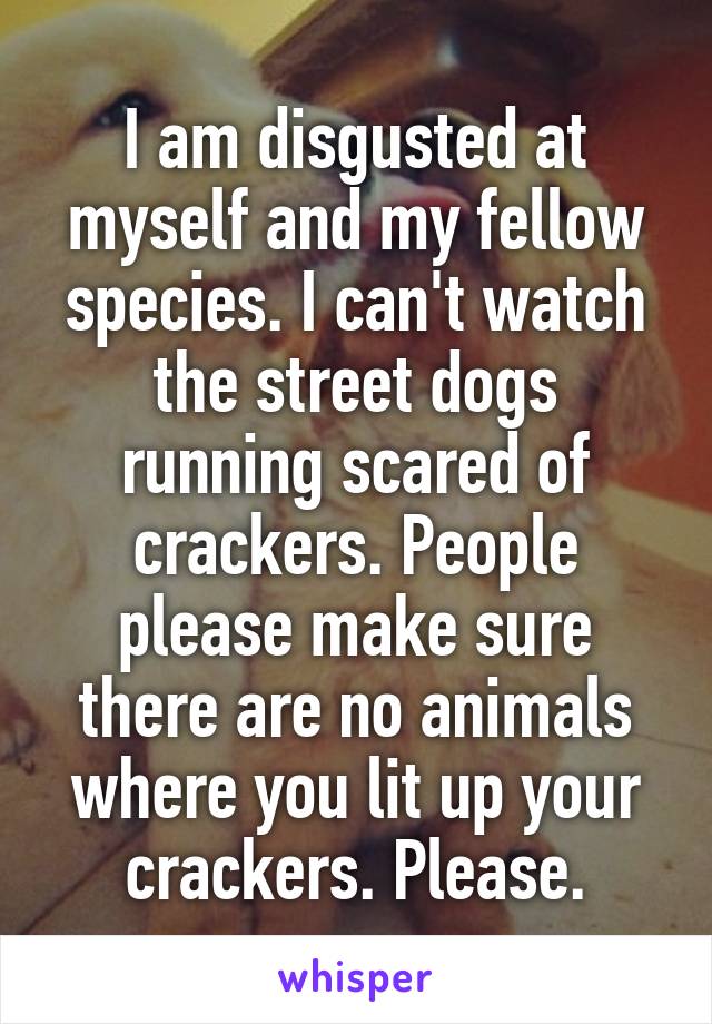 I am disgusted at myself and my fellow species. I can't watch the street dogs running scared of crackers. People please make sure there are no animals where you lit up your crackers. Please.