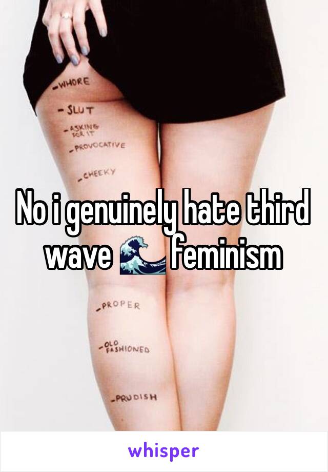No i genuinely hate third wave 🌊 feminism 