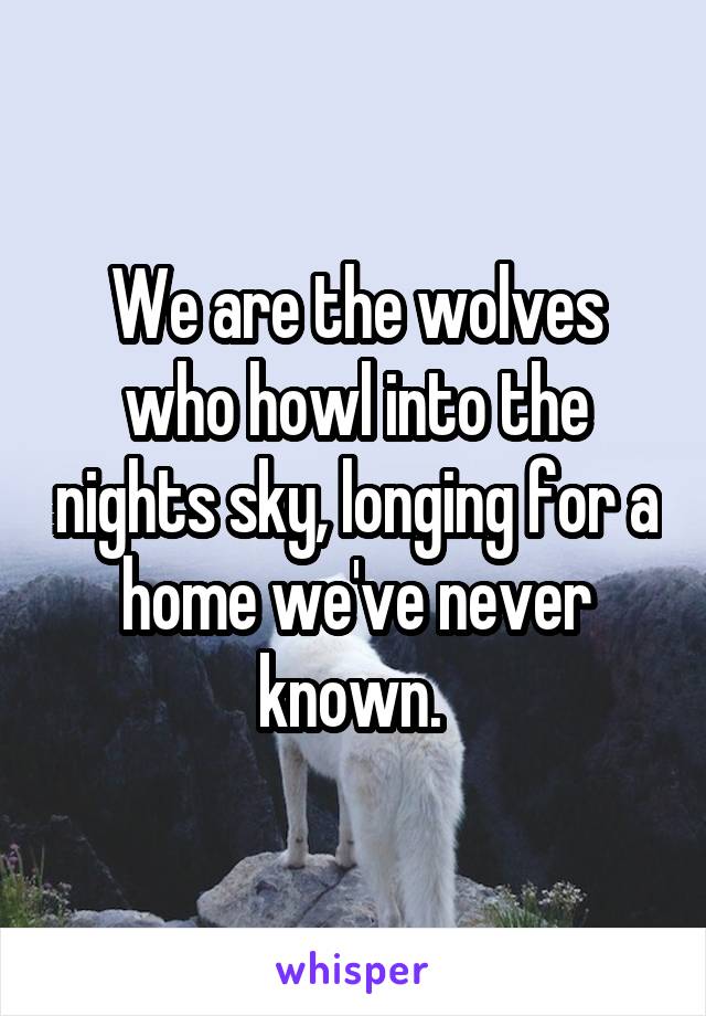 We are the wolves who howl into the nights sky, longing for a home we've never known. 