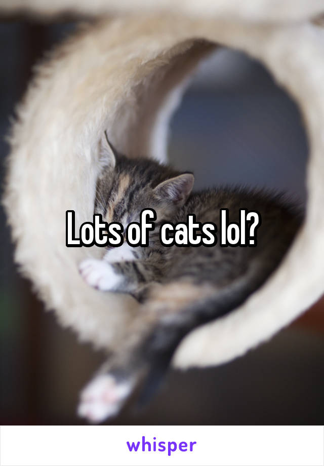 Lots of cats lol?