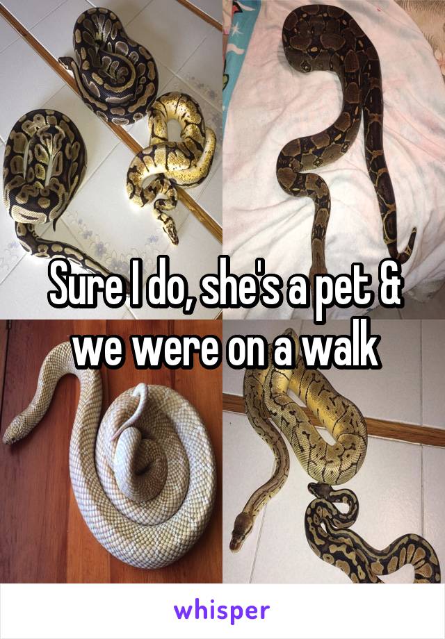 Sure I do, she's a pet & we were on a walk