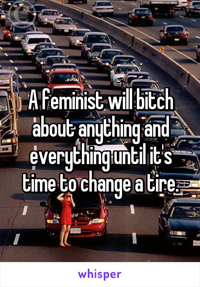 A feminist will bitch about anything and everything until it's time to change a tire.