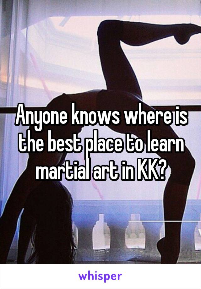 Anyone knows where is the best place to learn martial art in KK?