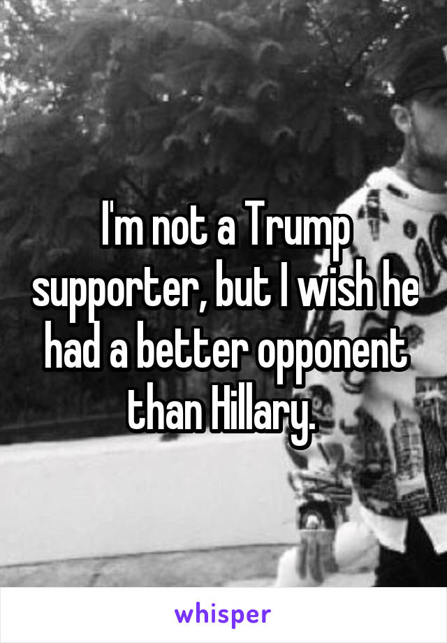 I'm not a Trump supporter, but I wish he had a better opponent than Hillary. 