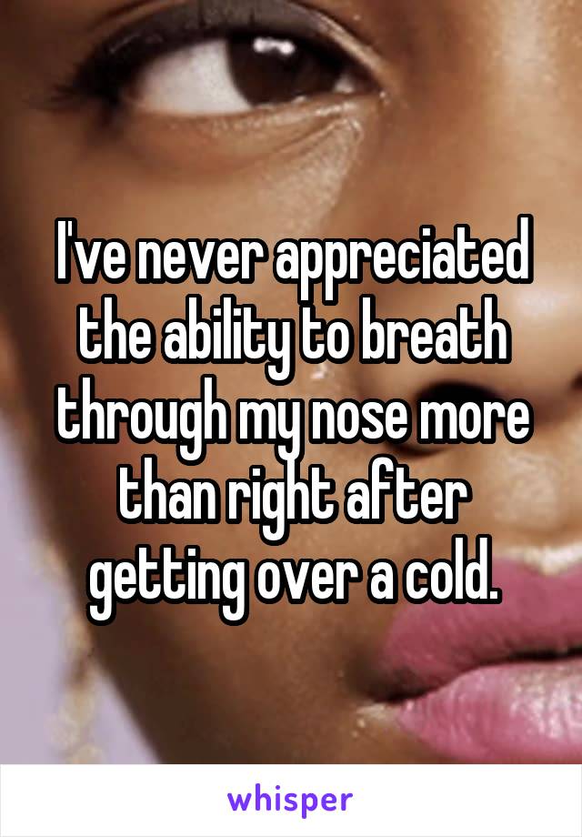 I've never appreciated the ability to breath through my nose more than right after getting over a cold.