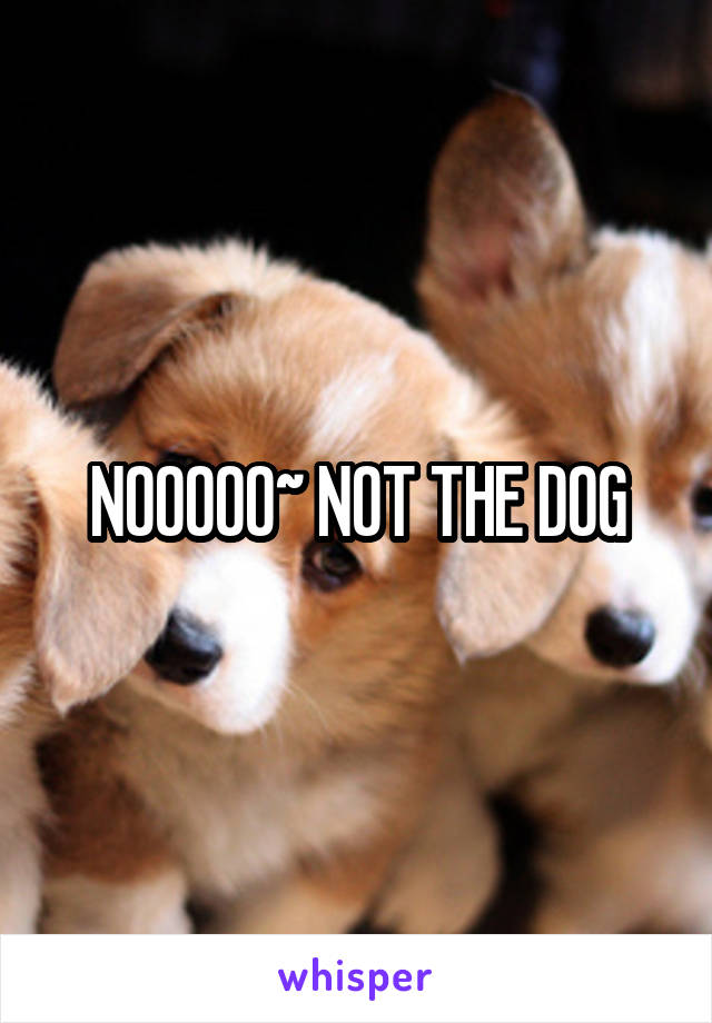 NOOOOO~ NOT THE DOG