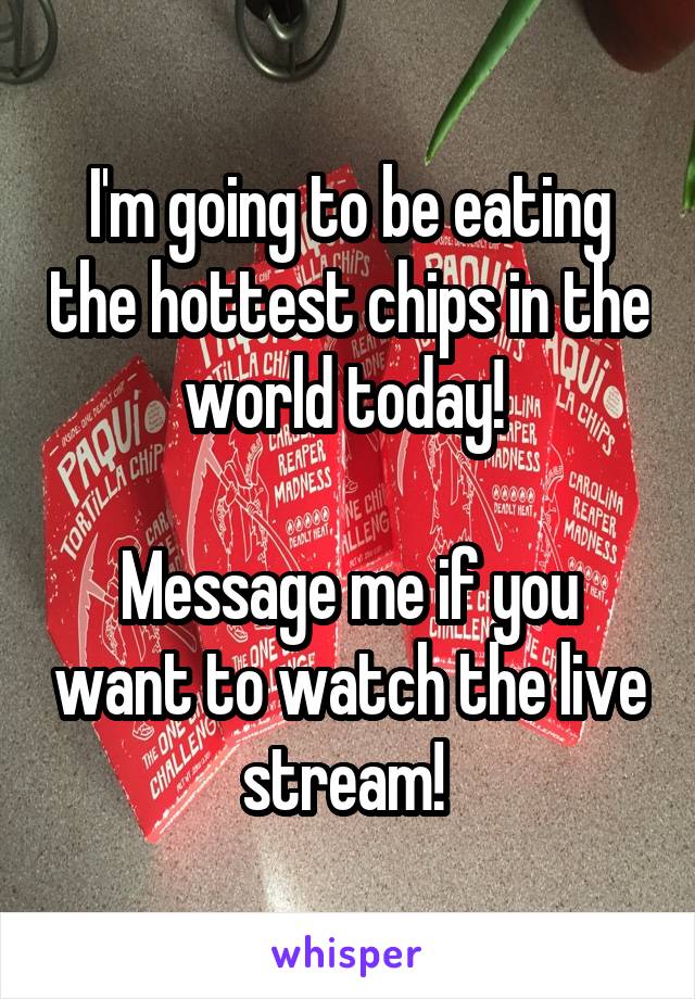 I'm going to be eating the hottest chips in the world today! 

Message me if you want to watch the live stream! 