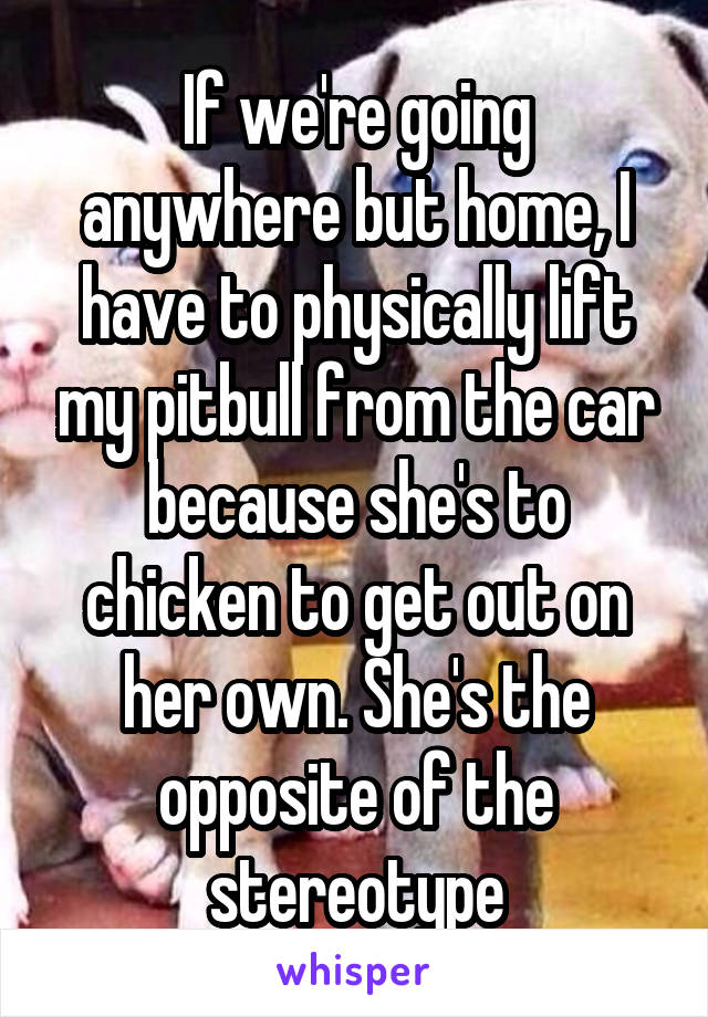 If we're going anywhere but home, I have to physically lift my pitbull from the car because she's to chicken to get out on her own. She's the opposite of the stereotype
