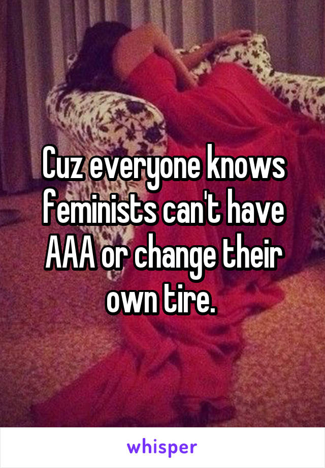 Cuz everyone knows feminists can't have AAA or change their own tire. 