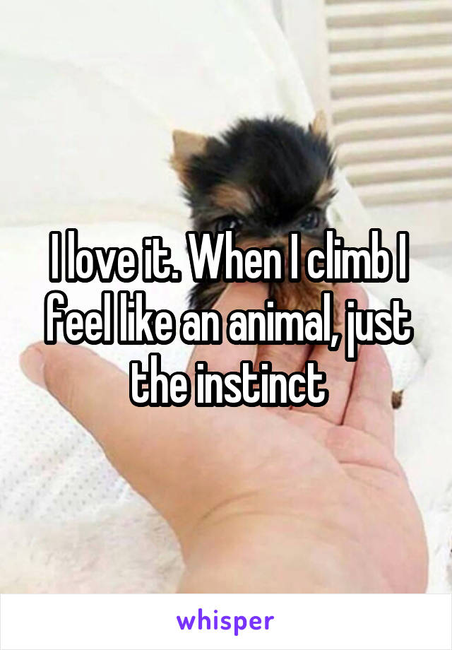 I love it. When I climb I feel like an animal, just the instinct