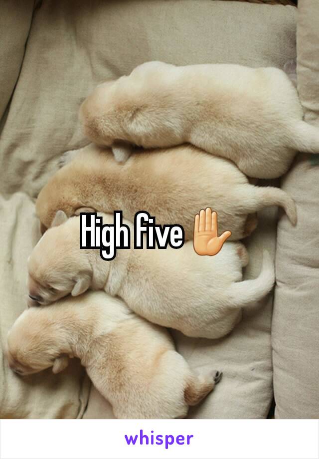 High five✋