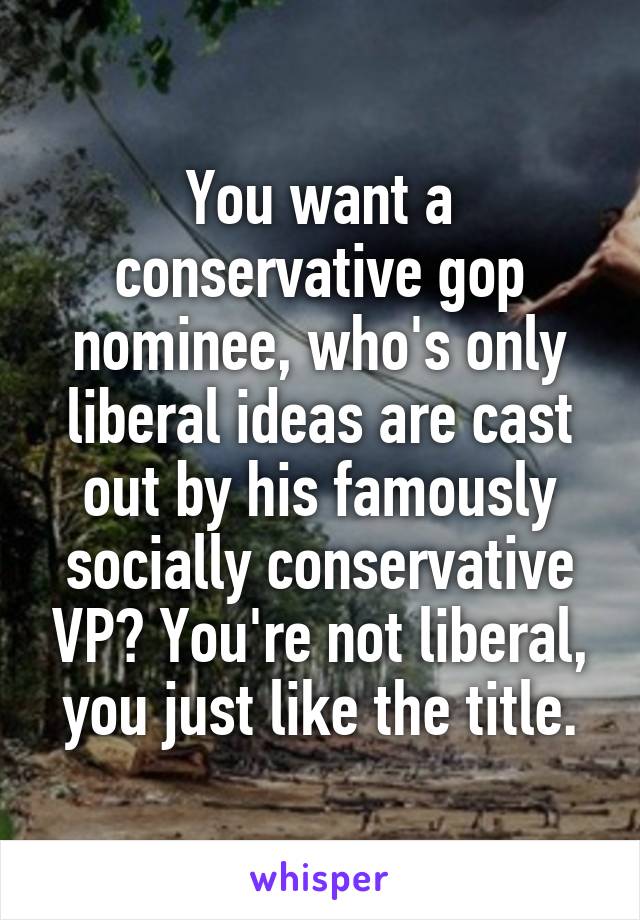 You want a conservative gop nominee, who's only liberal ideas are cast out by his famously socially conservative VP? You're not liberal, you just like the title.