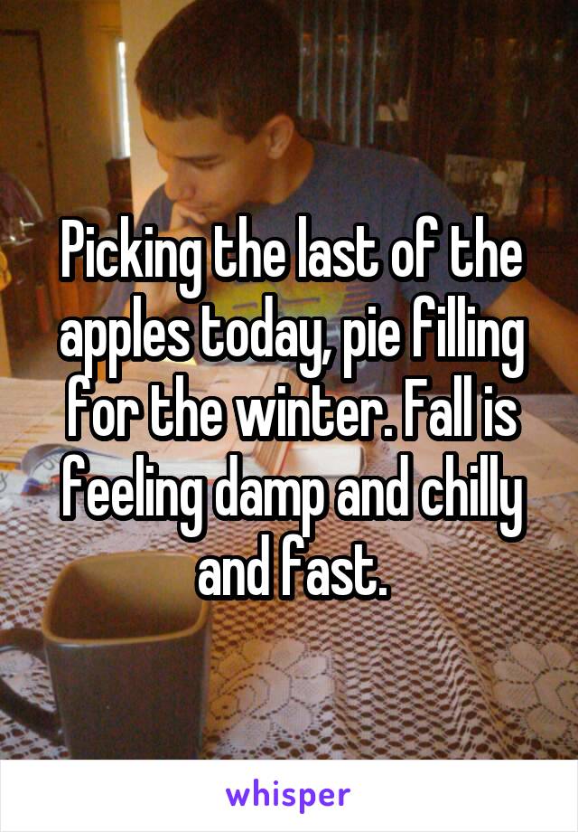 Picking the last of the apples today, pie filling for the winter. Fall is feeling damp and chilly and fast.