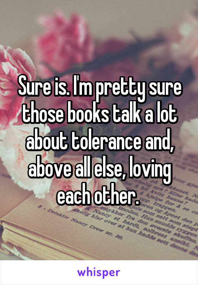 Sure is. I'm pretty sure those books talk a lot about tolerance and, above all else, loving each other. 