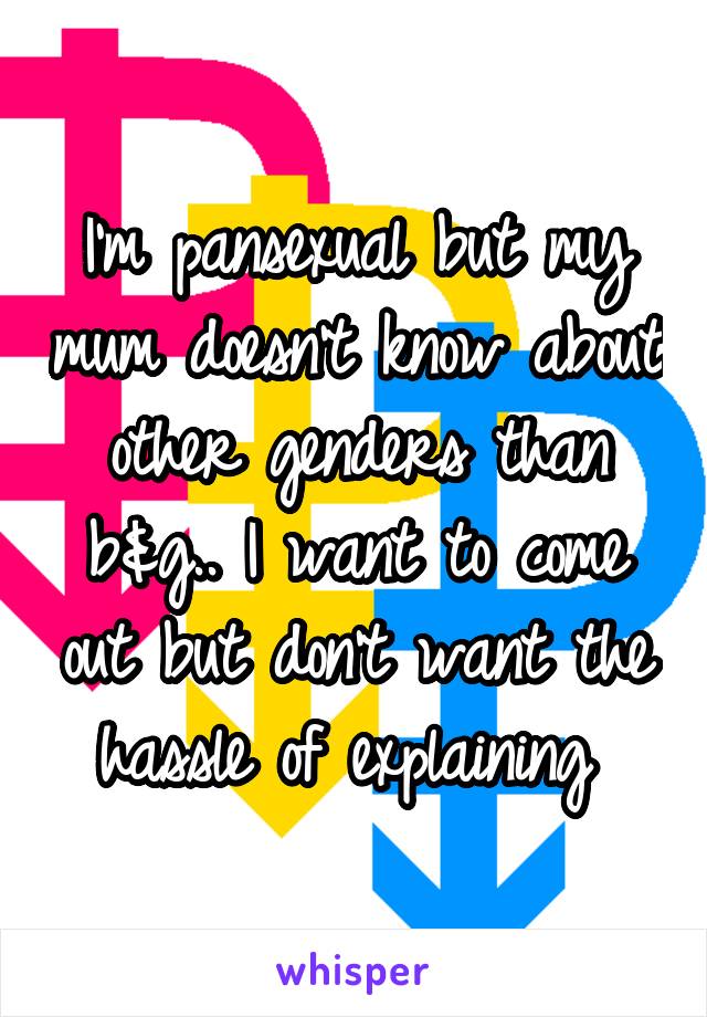 I'm pansexual but my mum doesn't know about other genders than b&g.. I want to come out but don't want the hassle of explaining 