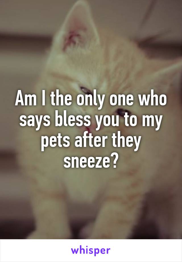 Am I the only one who says bless you to my pets after they sneeze?