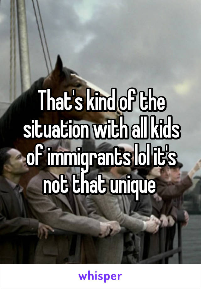 That's kind of the situation with all kids of immigrants lol it's not that unique 