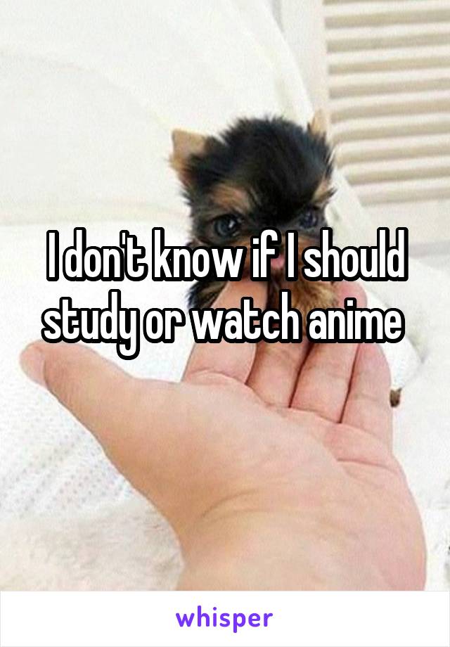 I don't know if I should study or watch anime 
