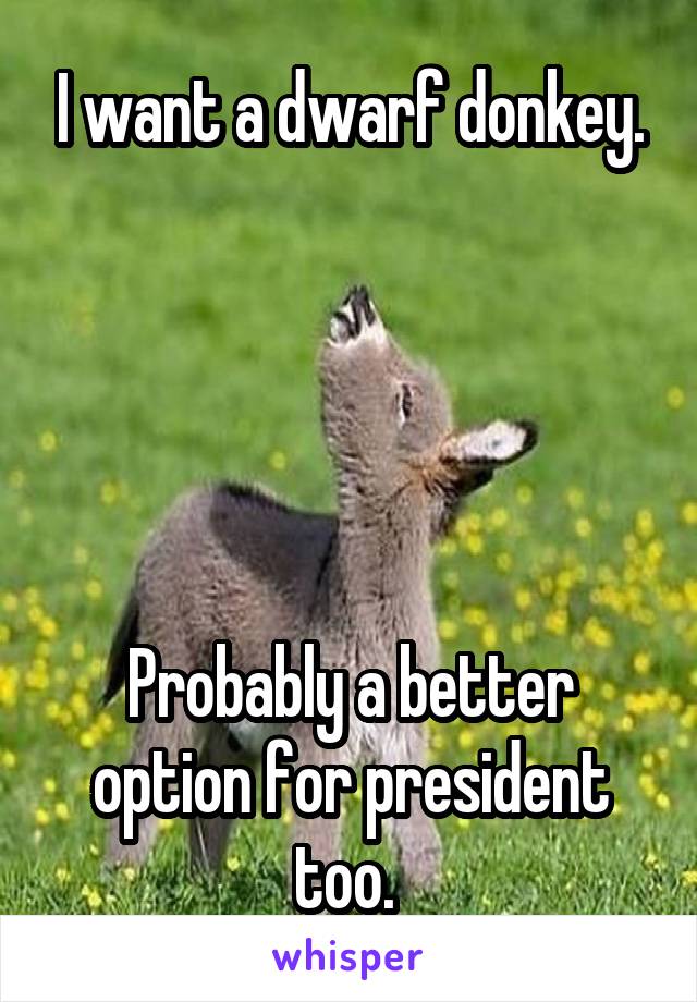 I want a dwarf donkey.





Probably a better option for president too. 