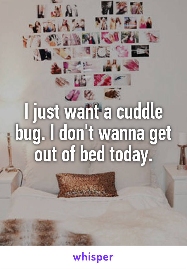 I just want a cuddle bug. I don't wanna get out of bed today.