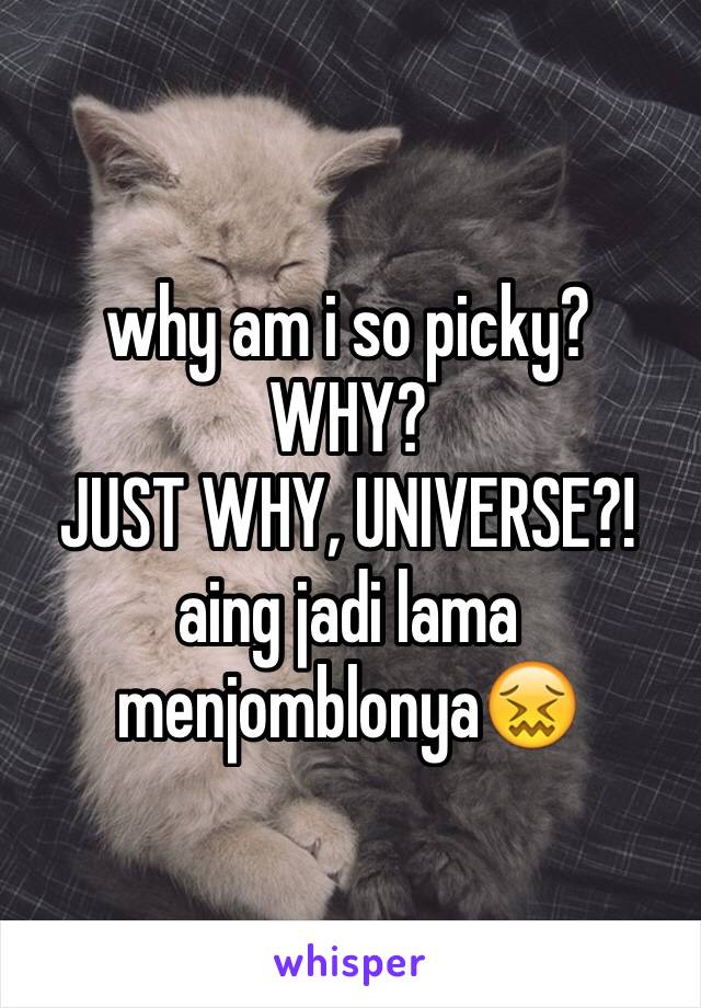 why am i so picky?
WHY?
JUST WHY, UNIVERSE?!
aing jadi lama menjomblonya😖
