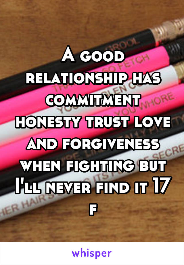 A good relationship has commitment honesty trust love and forgiveness when fighting but I'll never find it 17 f