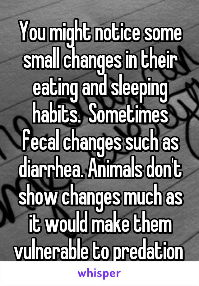 You might notice some small changes in their eating and sleeping habits.  Sometimes fecal changes such as diarrhea. Animals don't show changes much as it would make them vulnerable to predation 