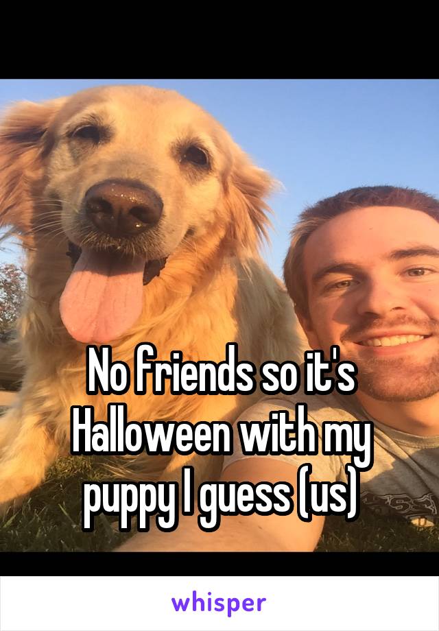 



No friends so it's Halloween with my puppy I guess (us)