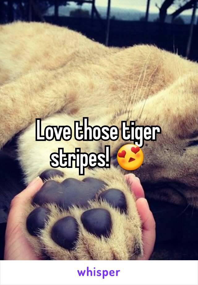 Love those tiger stripes! 😍