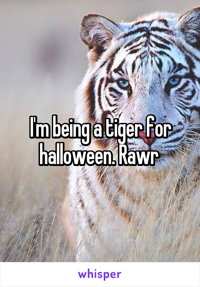 I'm being a tiger for halloween. Rawr 