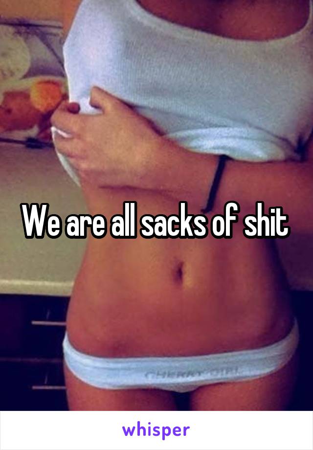 We are all sacks of shit 