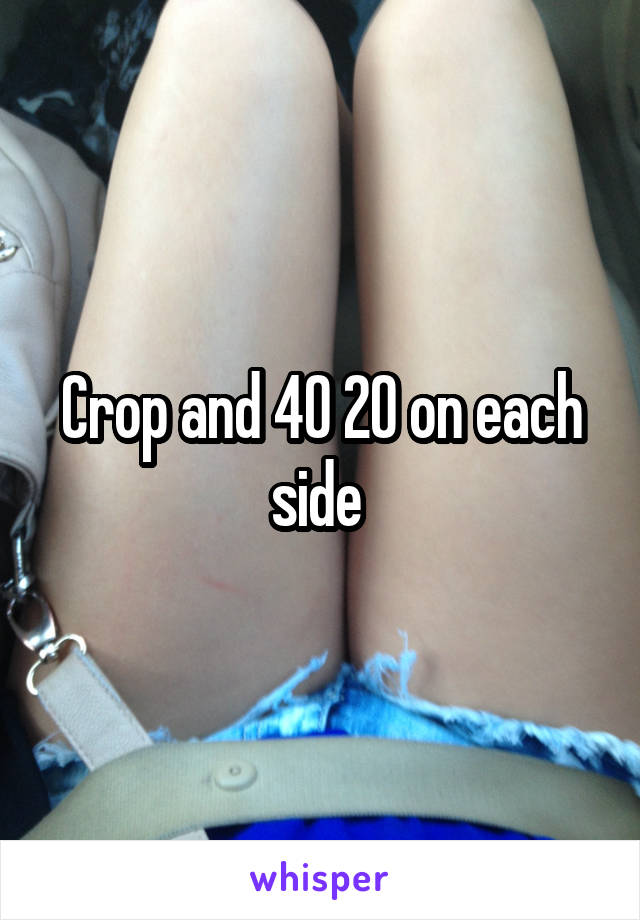 Crop and 40 20 on each side 
