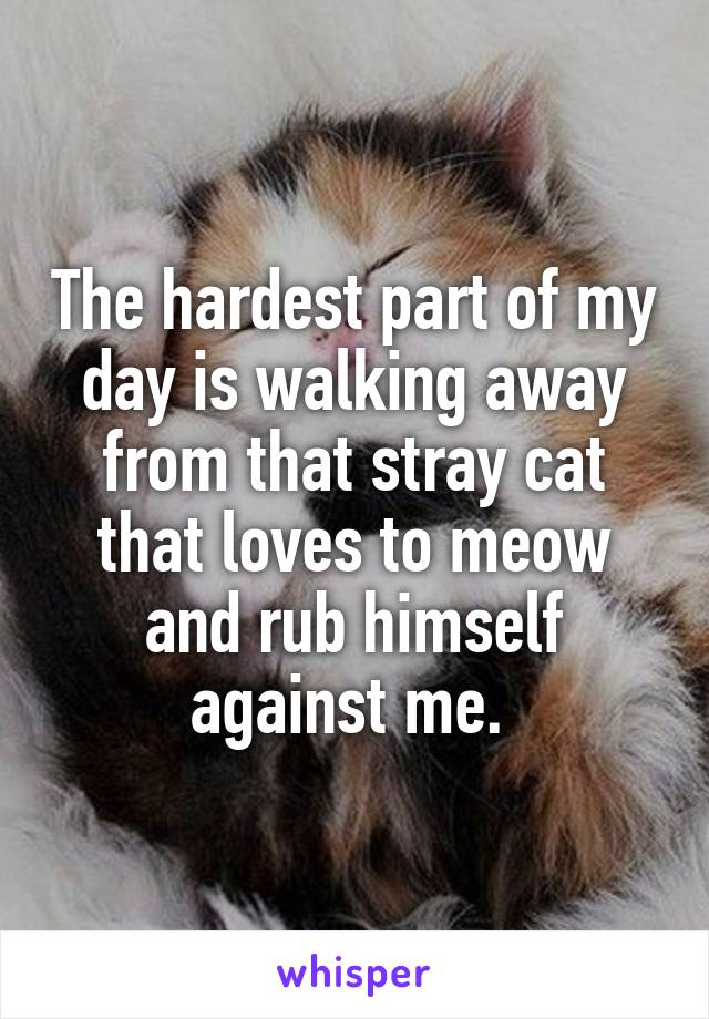 The hardest part of my day is walking away from that stray cat that loves to meow and rub himself against me. 