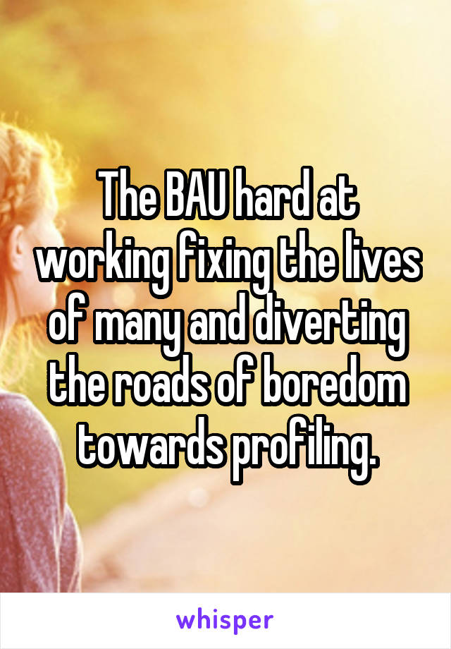 The BAU hard at working fixing the lives of many and diverting the roads of boredom towards profiling.
