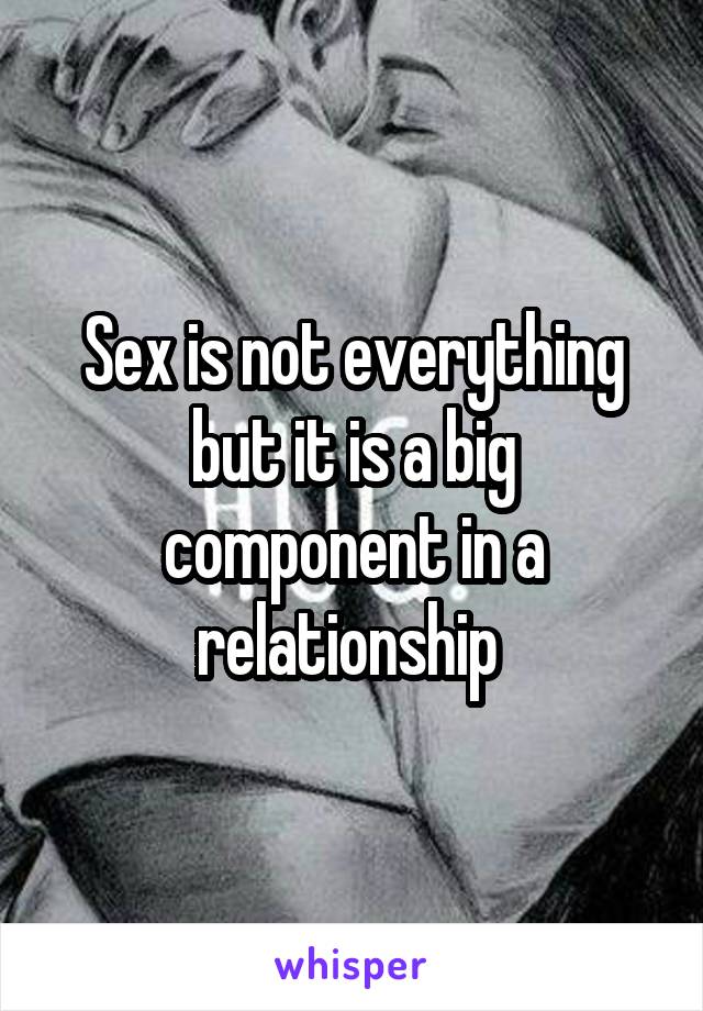 Sex is not everything but it is a big component in a relationship 