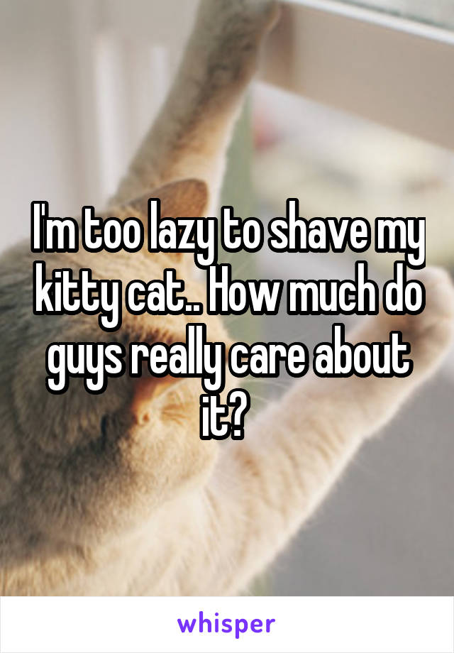 I'm too lazy to shave my kitty cat.. How much do guys really care about it? 