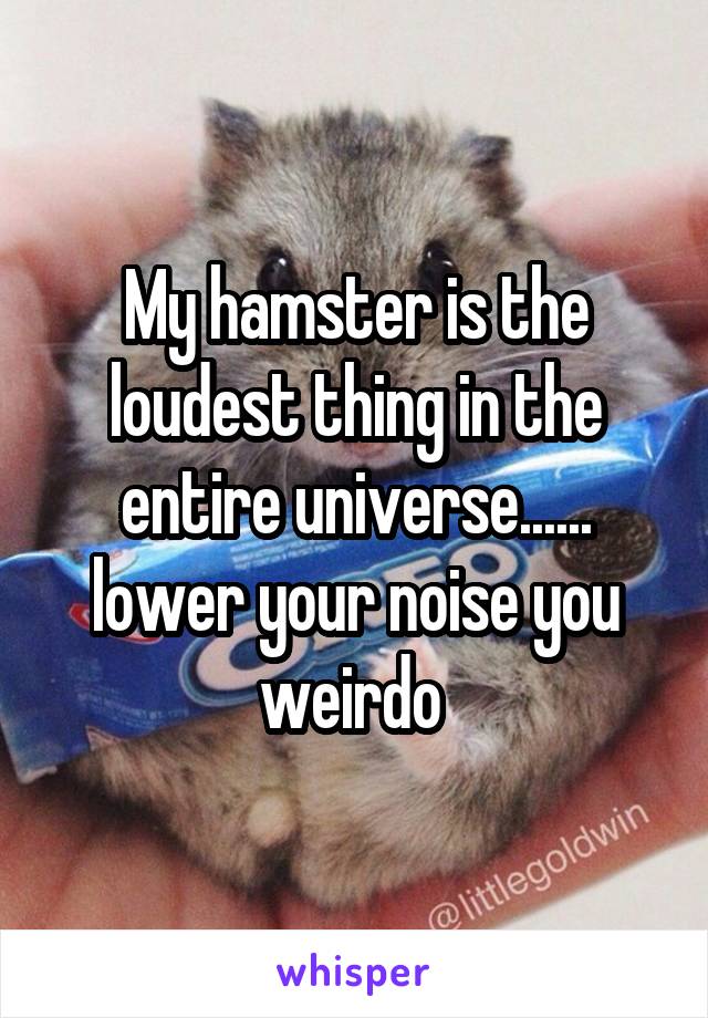 My hamster is the loudest thing in the entire universe...... lower your noise you weirdo 