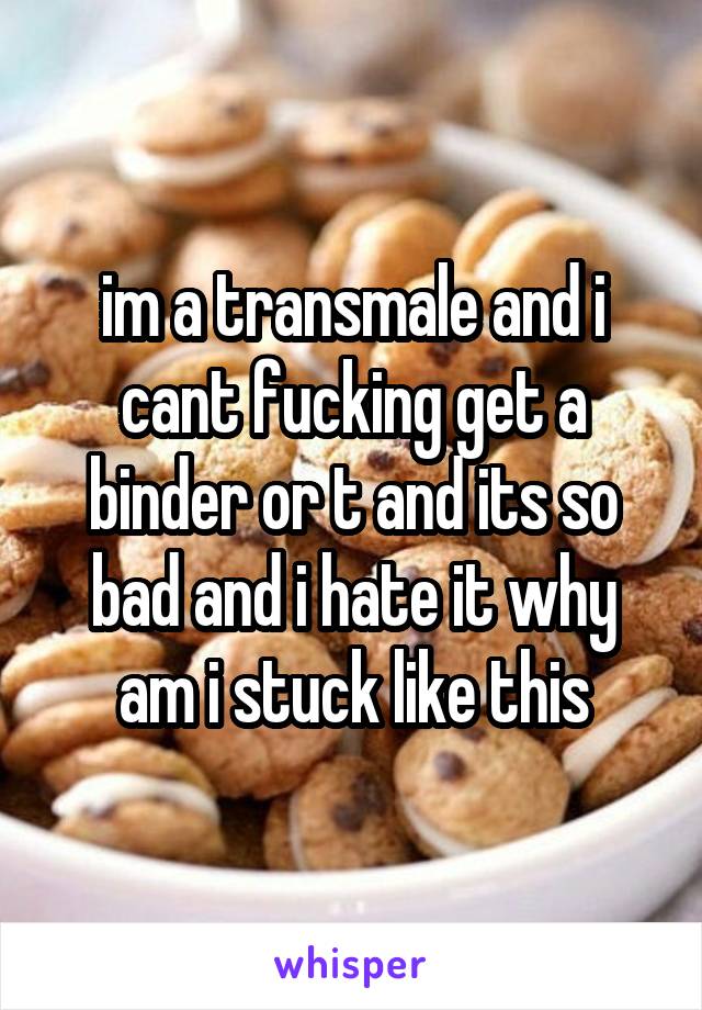 im a transmale and i cant fucking get a binder or t and its so bad and i hate it why am i stuck like this