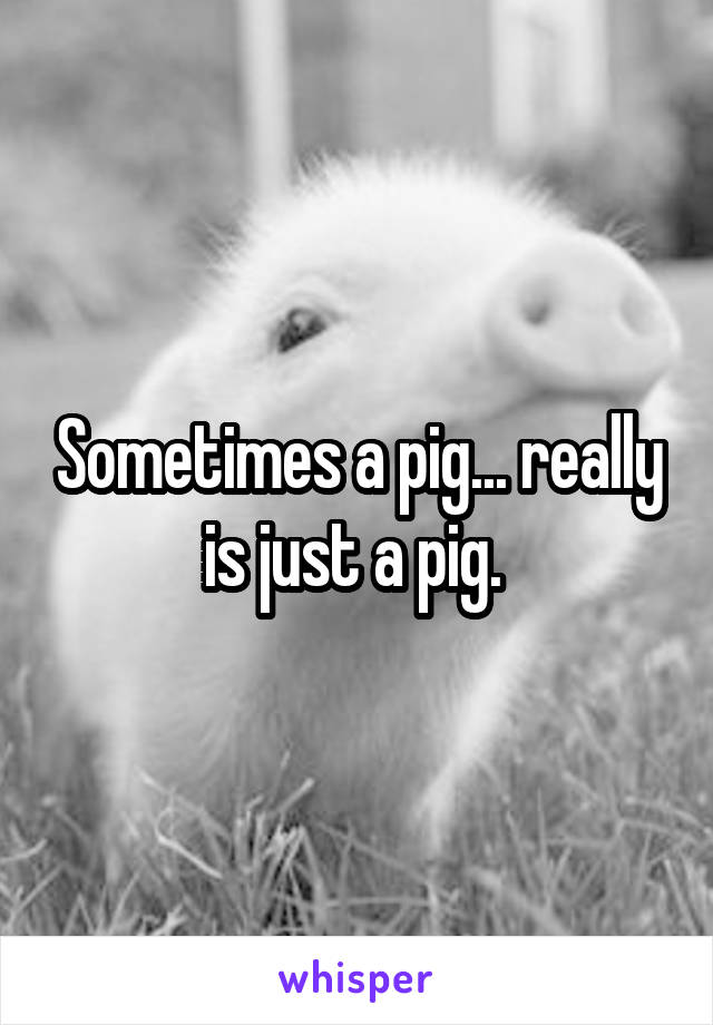 Sometimes a pig... really is just a pig. 