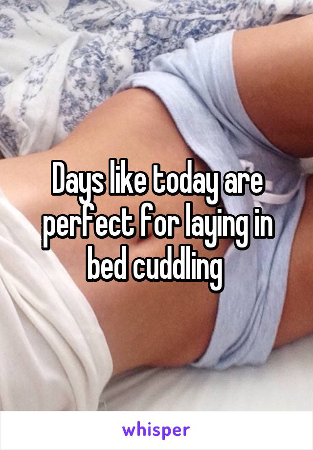 Days like today are perfect for laying in bed cuddling 