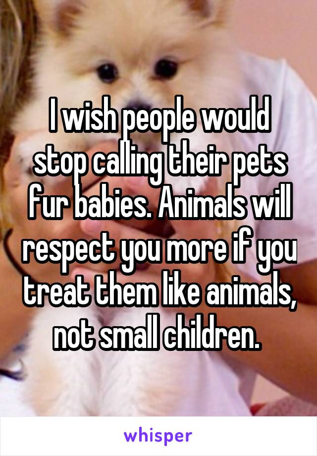 I wish people would stop calling their pets fur babies. Animals will respect you more if you treat them like animals, not small children. 