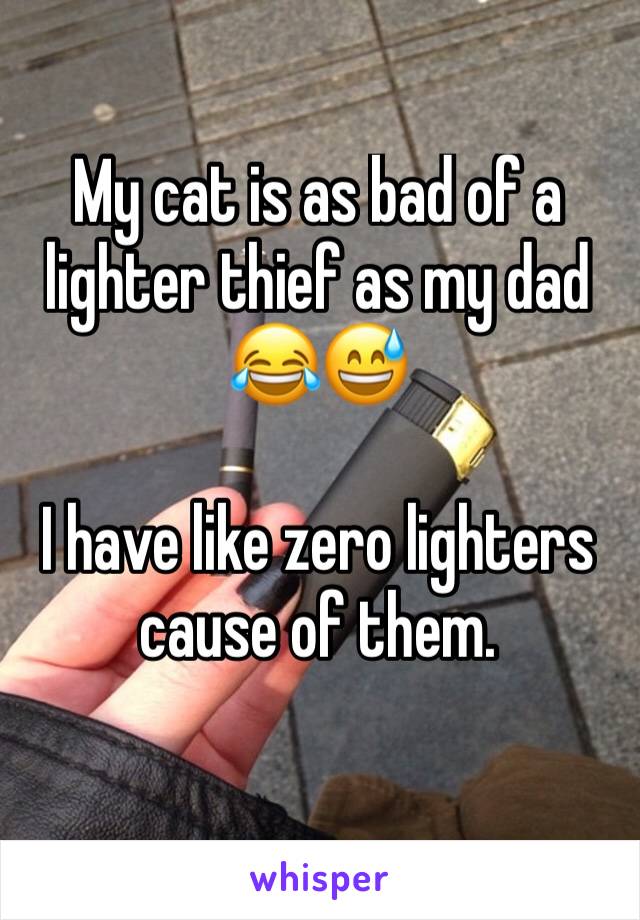 My cat is as bad of a lighter thief as my dad 😂😅 

I have like zero lighters cause of them.
