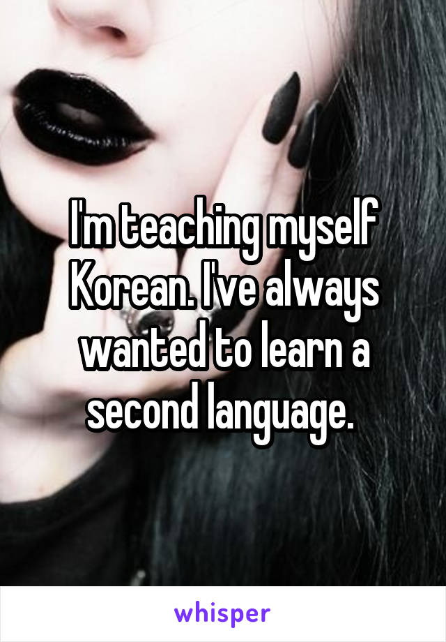 I'm teaching myself Korean. I've always wanted to learn a second language. 