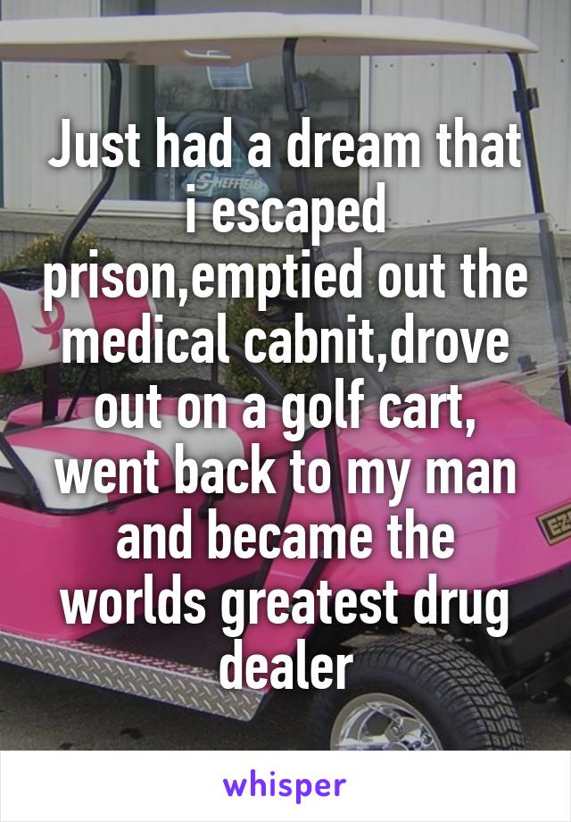 Just had a dream that i escaped prison,emptied out the medical cabnit,drove out on a golf cart, went back to my man and became the worlds greatest drug dealer