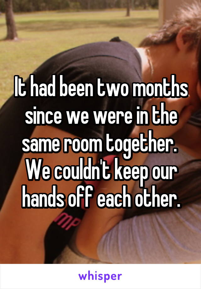 It had been two months since we were in the same room together. 
We couldn't keep our hands off each other.