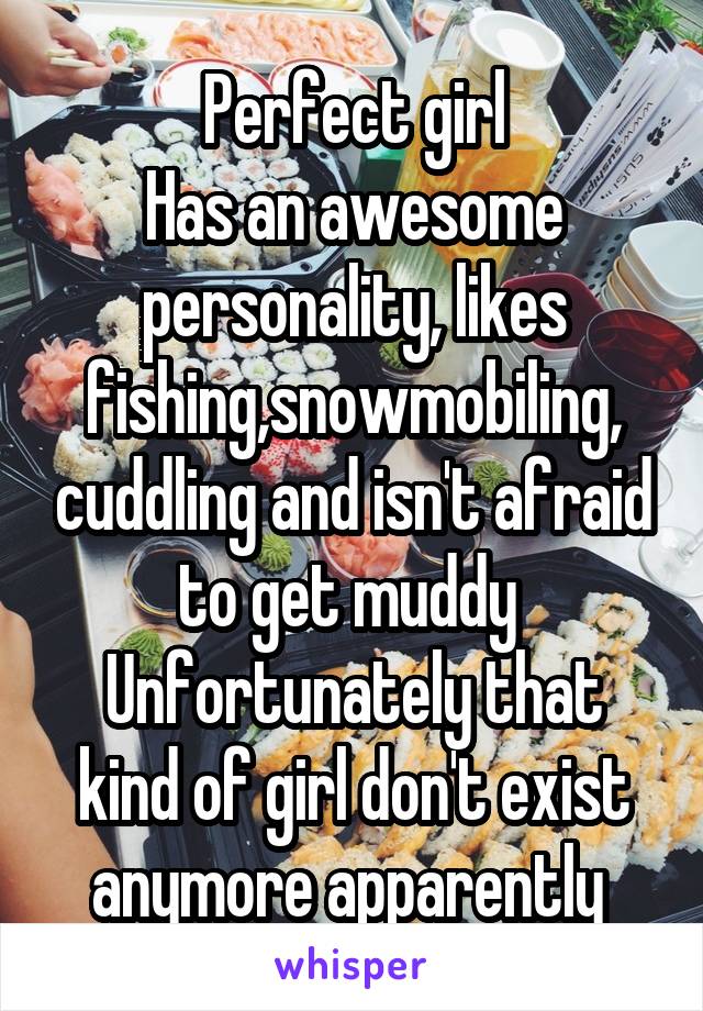 Perfect girl
Has an awesome personality, likes fishing,snowmobiling, cuddling and isn't afraid to get muddy 
Unfortunately that kind of girl don't exist anymore apparently 