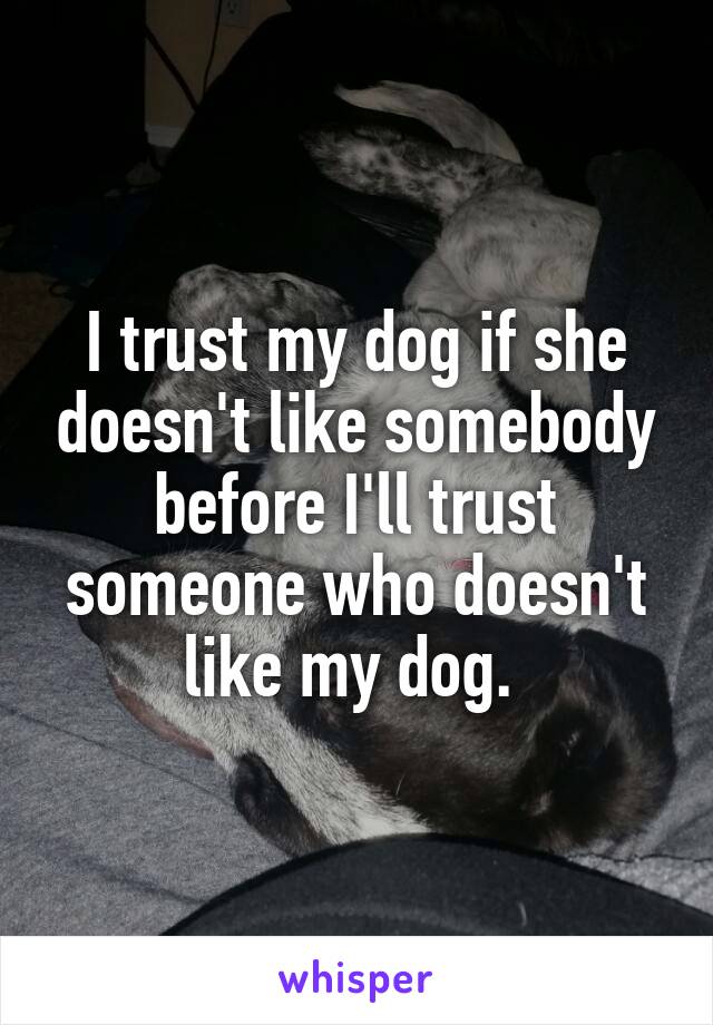 I trust my dog if she doesn't like somebody before I'll trust someone who doesn't like my dog. 